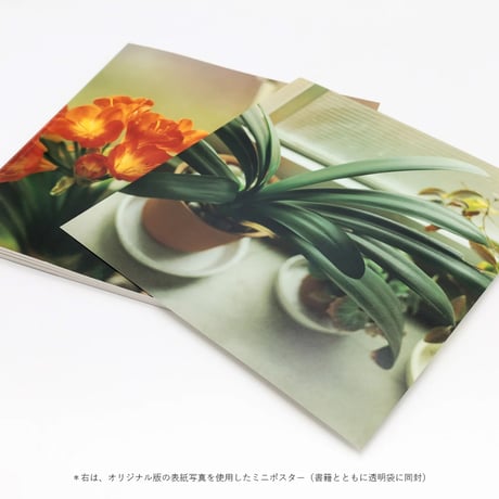 復刊 生きている / 佐内正史(Masafumi Sanai)