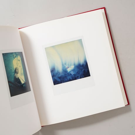 Die Polaroids The Polaroids / Sibylle Bergemann（ズィビレ・ベルゲマン）