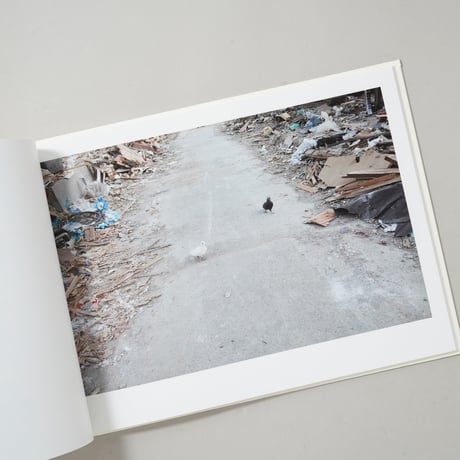 [サイン入/Signed] 光と影 / 川内倫子(Rinko Kawauchi)