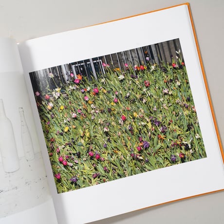 [サイン入/Signed] ADVICE FOR YOUNG ARTISTS / Alec Soth(アレック・ソス)