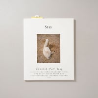 Stay / Charlotte Dumas(シャルロット・デュマ)