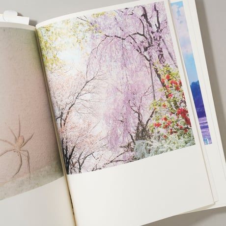 Illuminance: The Tenth Anniversary Edition / 川内倫子(Rinko Kawauchi)