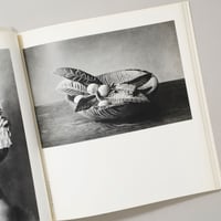 LA PHOTOGRAPHIE JAPONAISE Du Pictorialisme Au Modernisme