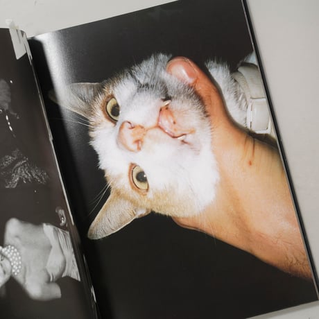 Hysteric glamour / Terry Richardson(テリー・リチャードソン)