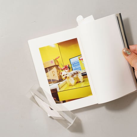 [新刊/New]Happy Mountain,Wonderful Sea / 富澤大輔(Daisuke Tomizawa)