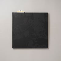 [サイン入/Signed] Talking to Ants / Stephen Gill(スティーブン・ギル)