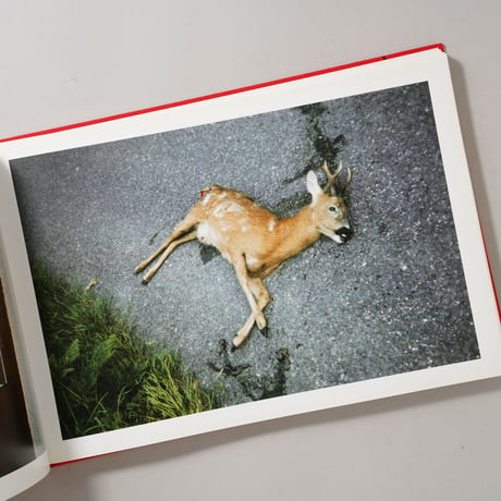 Unseen UK: A Book of Photographs by the People at Royal Mail / 編集・Stephen Gill(スティーブン・ギル)