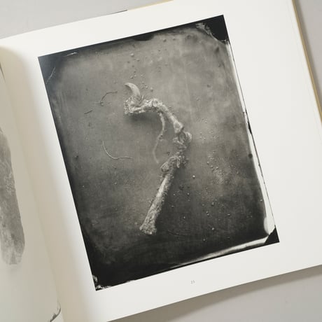 What Remains / Sally Mann(サリー・マン)