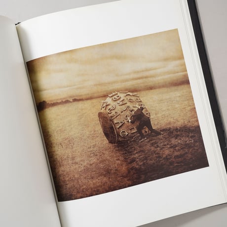 The Architect's Brother / Robert & Shana Parkeharrison(ロバート&シャナ・パークハリソン)