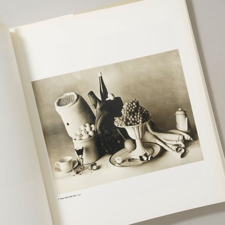 Platinum Prints / Irving Penn(アーヴィング・ペン)