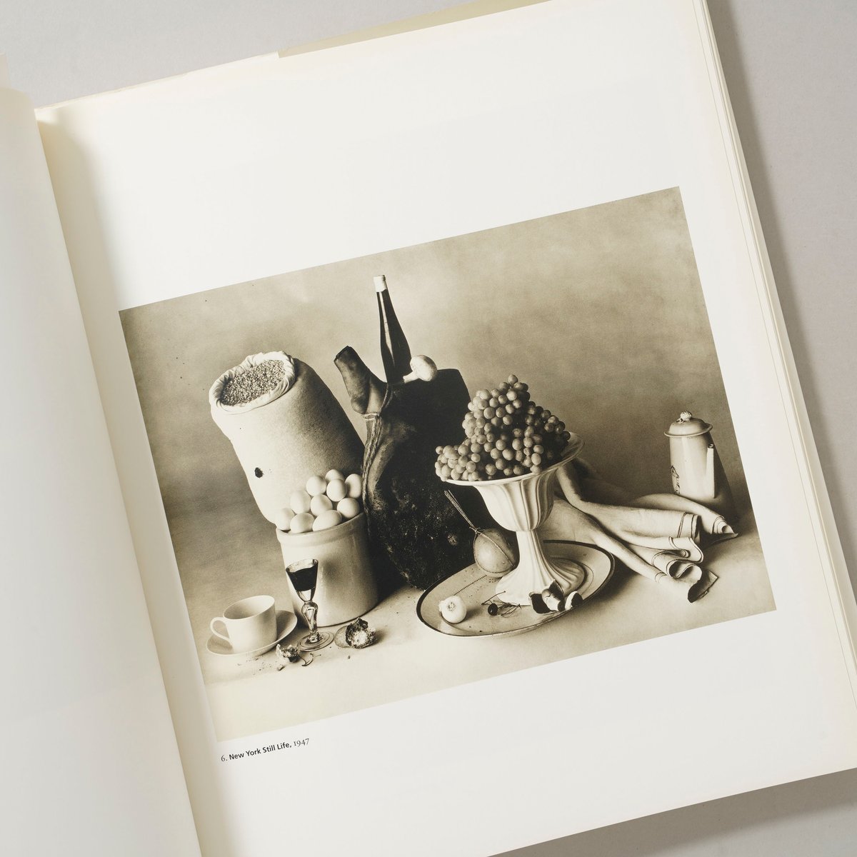 Platinum Prints / Irving Penn(アーヴィング・ペン) | book