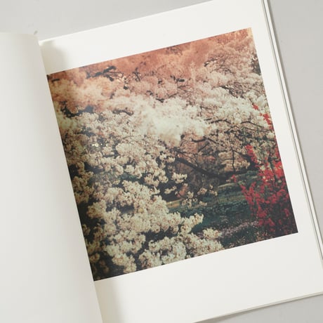 幻夢 Day Dream / 湯沢薫(Yuzawa Kaori)