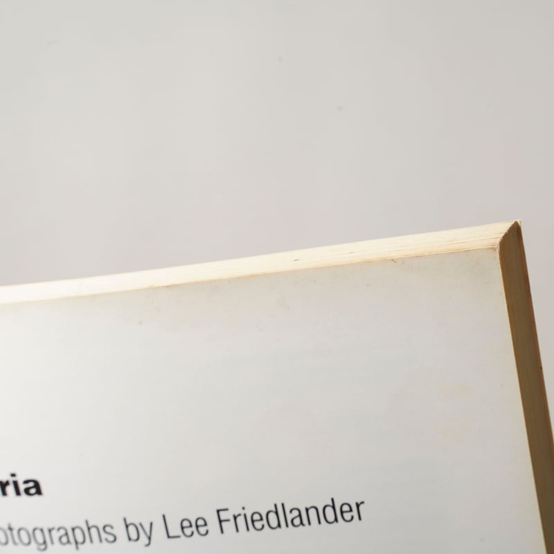 Maria / Lee Friedlander(リー・フリードランダー) | bookobsc