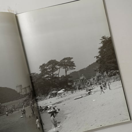 STILL CRAZY nuclear power plants(原発・53基の原子炉) / 広川泰士(Taishi Hirokawa)