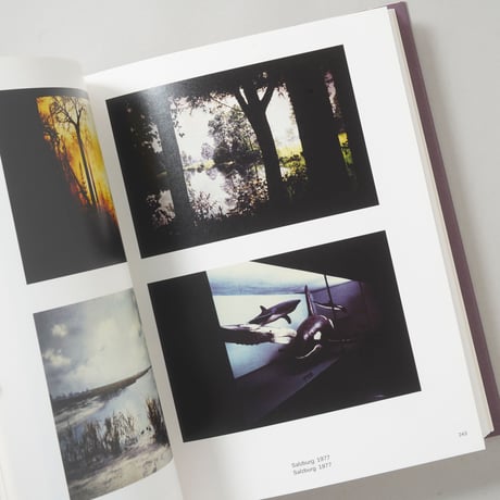 The Map and The Territory / Luigi Ghirri(ルイジ・ギッリ)