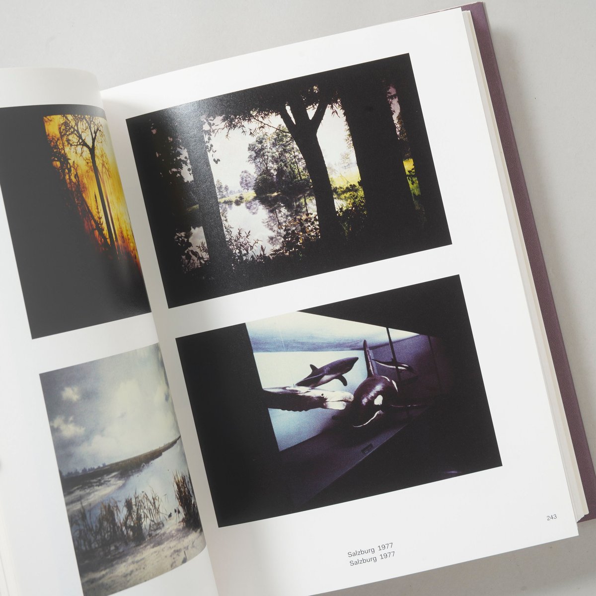 The Map and The Territory / Luigi Ghirri(ルイジ・ギッ