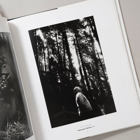ARBUS FRIEDLANDEAR WINOGRAND New Documents, 1967 / Diane Arbus,Lee Friedlander,Garry Winogrand