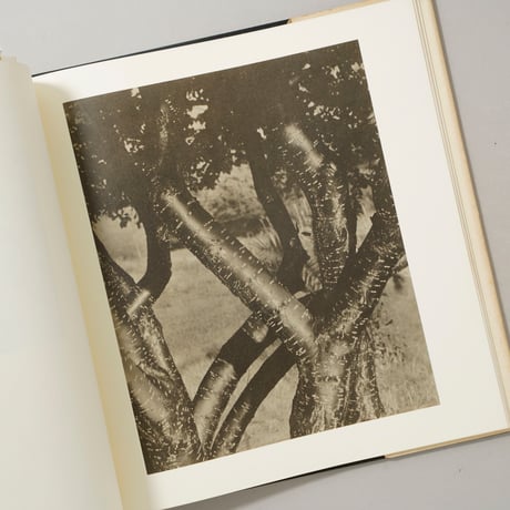 Alfred Stieglitz: Photographer / Alfred Stieglitz(アルフレッド・スティーグリッツ)