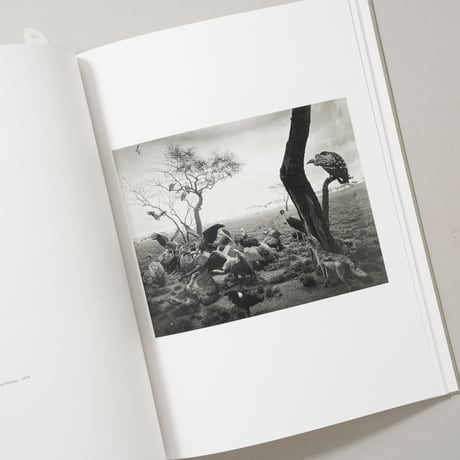 今昔三部作 Past and Present in Three Parts / 杉本博司（Hiroshi Sugimoto）