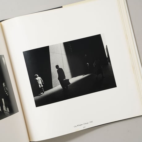 UNKNOWN TERRITORY / Ray K. Metzker(レイ・K・メツカー)