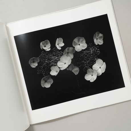 [サイン入/Signed] Tetsuyu Shiraishi 2005–2008 / 白石哲雄(Tetsuyu Shiraishi)