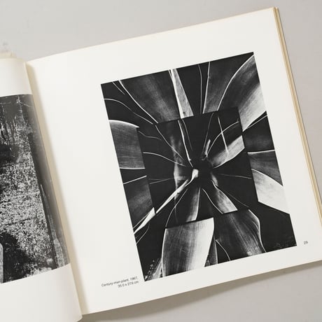 Barbara Crane Photographs 1948-1980 / Barbara Crane(バーバラ・クレイン)