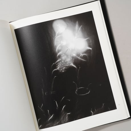 NATURE OF LIGHT / 杉本博司(Hiroshi Sugimoto)