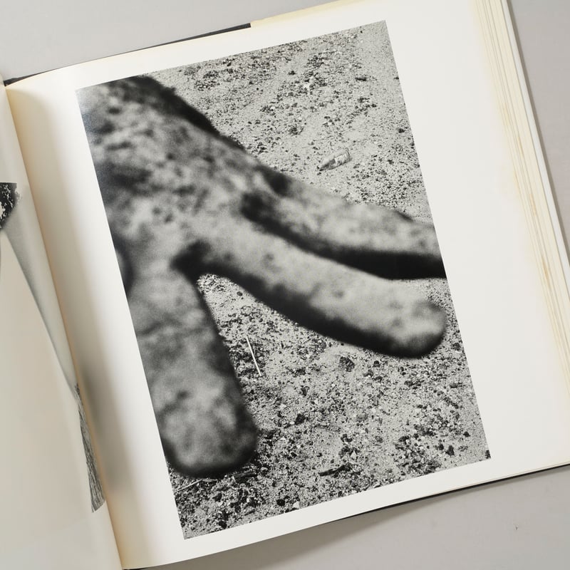 UNKNOWN TERRITORY / Ray K. Metzker(レイ・K・メツカー) |