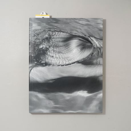 [サイン入/Signed] MERMAIDS / Michael Dweck(マイケル・デウィック)