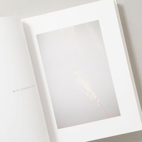 きらきら / 川内倫子(Rinko Kawauchi)、イマムラレイコ(Reiko Imamura)