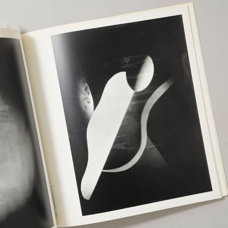 LA PHOTOGRAPHIE JAPONAISE Du Pictorialisme Au Modernisme