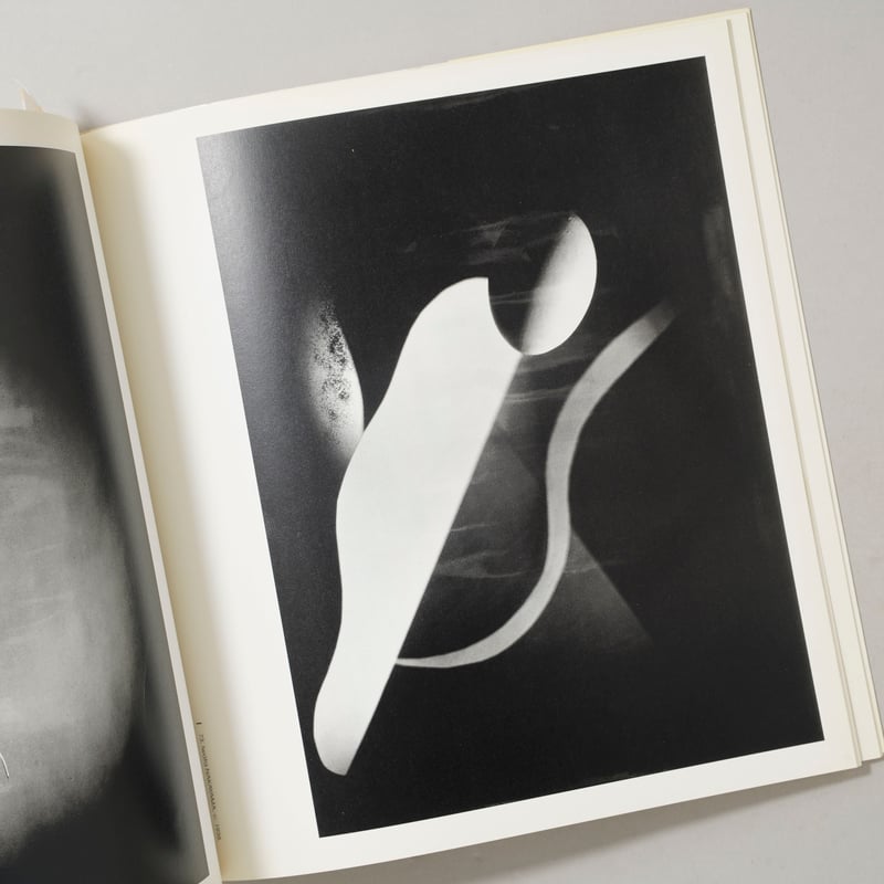LA PHOTOGRAPHIE JAPONAISE Du Pictorialisme Au M