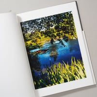 みどりの王国 The Kingdom of Green / 写真：戎康友 (Ebisu Yasutomo) 文： 鈴木るみこ (Rumiko Suzuki)