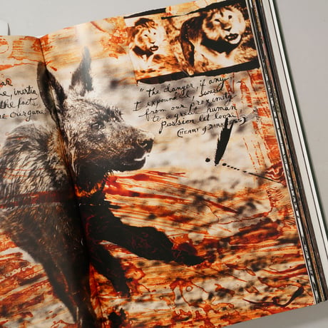 PETER BEARD (TASCHEN) / Peter Beard(ピーター・ビアード)