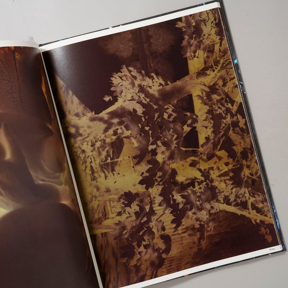 6ad9e099a500b04754b26744