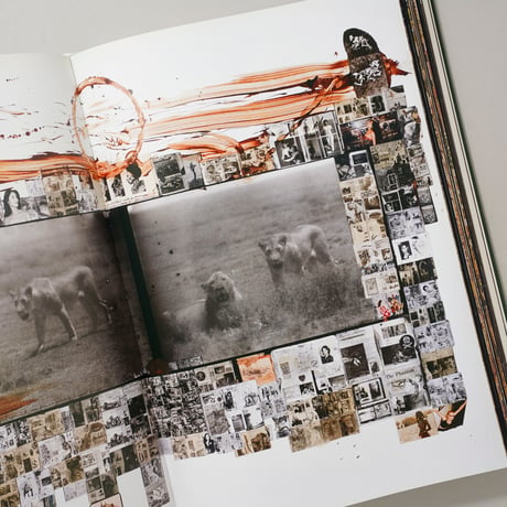 PETER BEARD (TASCHEN) / Peter Beard(ピーター・ビアード)