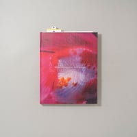 self-image / 蜷川実花(Mika Ninagawa)