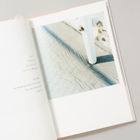 the eyes, the ears, / 川内倫子(Rinko Kawauchi)