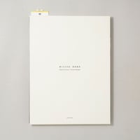 張り込み日記 Special Edition / 渡部雄吉(Yukichi Watabe)