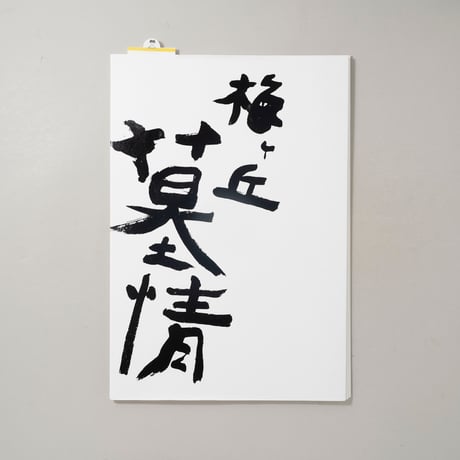 梅ヶ丘墓情 / 荒木経惟(Nobuyoshi Araki)