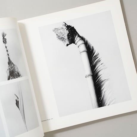 Historia Artificial / Joan Fontcuberta(ジョアン・フォンクベルタ)