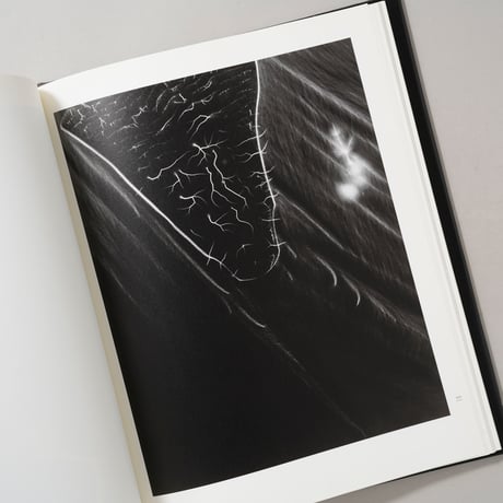 NATURE OF LIGHT / 杉本博司(Hiroshi Sugimoto)