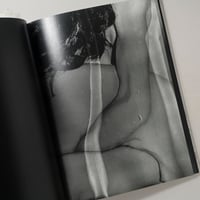CORPUS / 横田大輔(Daisuke Yokota)