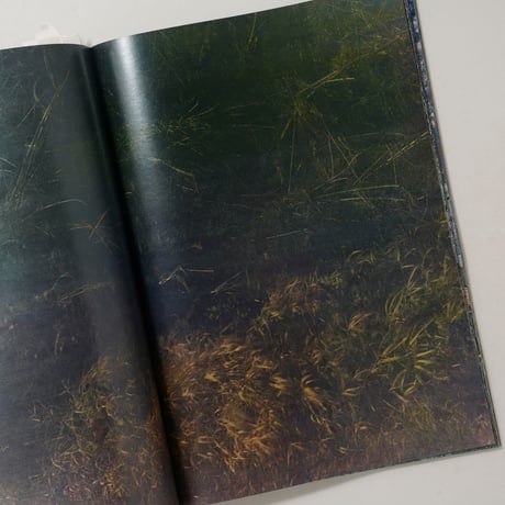 [新刊/New] 植物、多摩川中流域、冬 / 横田大輔(Daisuke Yokota)