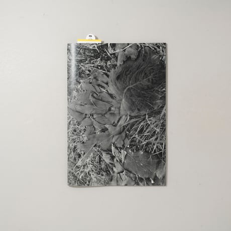 [新刊サイン入/New,Signed] 植物、暗室のための習作 / 横田大輔(Daisuke Yokota)