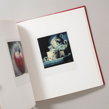 Die Polaroids The Polaroids / Sibylle Bergemann（ズィビレ・ベルゲマン）