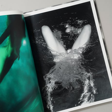 [サイン入/Signed] MERMAIDS / Michael Dweck(マイケル・デウィック)