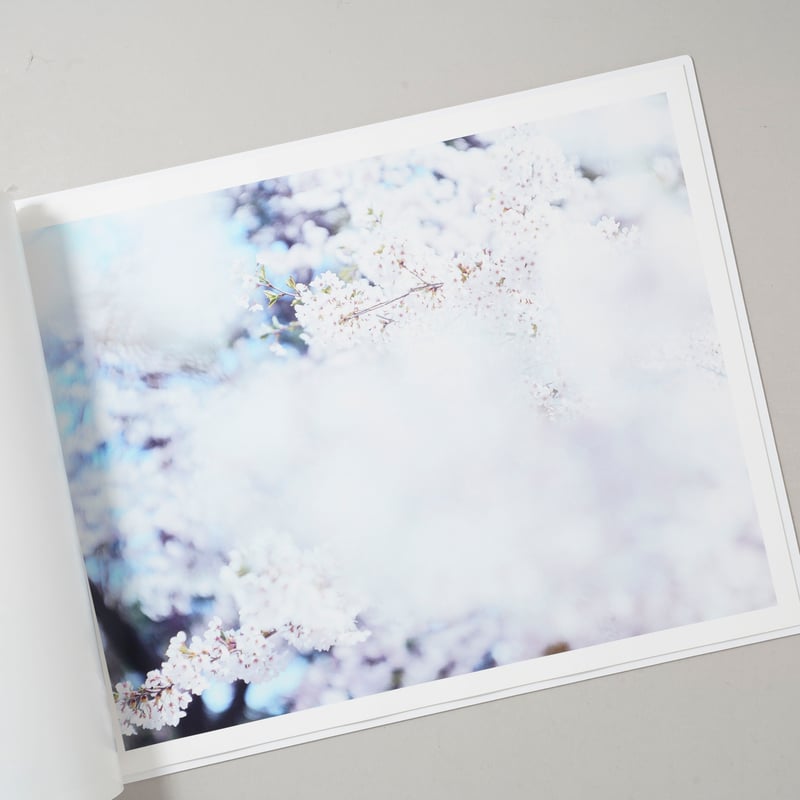CATEGORY ー japanese | bookobscura｜写真集専門書店｜写真家によ