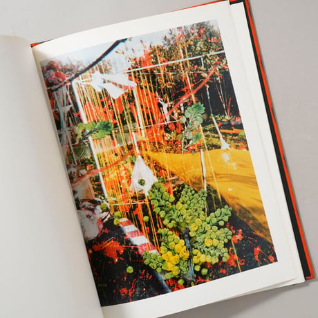 [サイン入/Signed] HACKNEY FLOWERS / Stephen Gill(スティーブン・ギル)