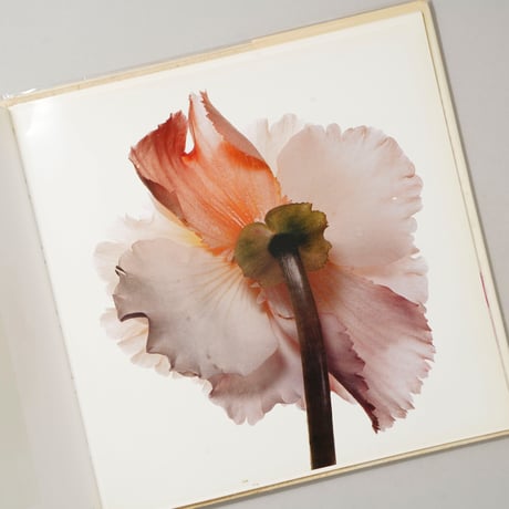 FLOWERS / Irving Penn (アーヴィング・ペン)